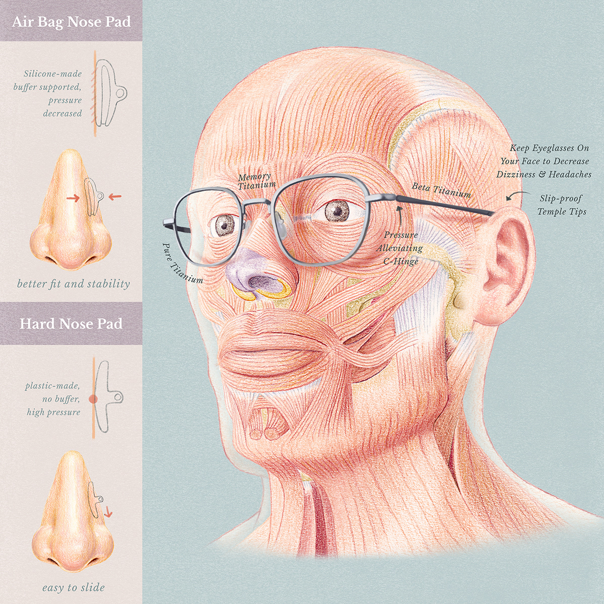 anatomy face glasses healthcare Human Body medical illustration medicine muscle nose product illustration