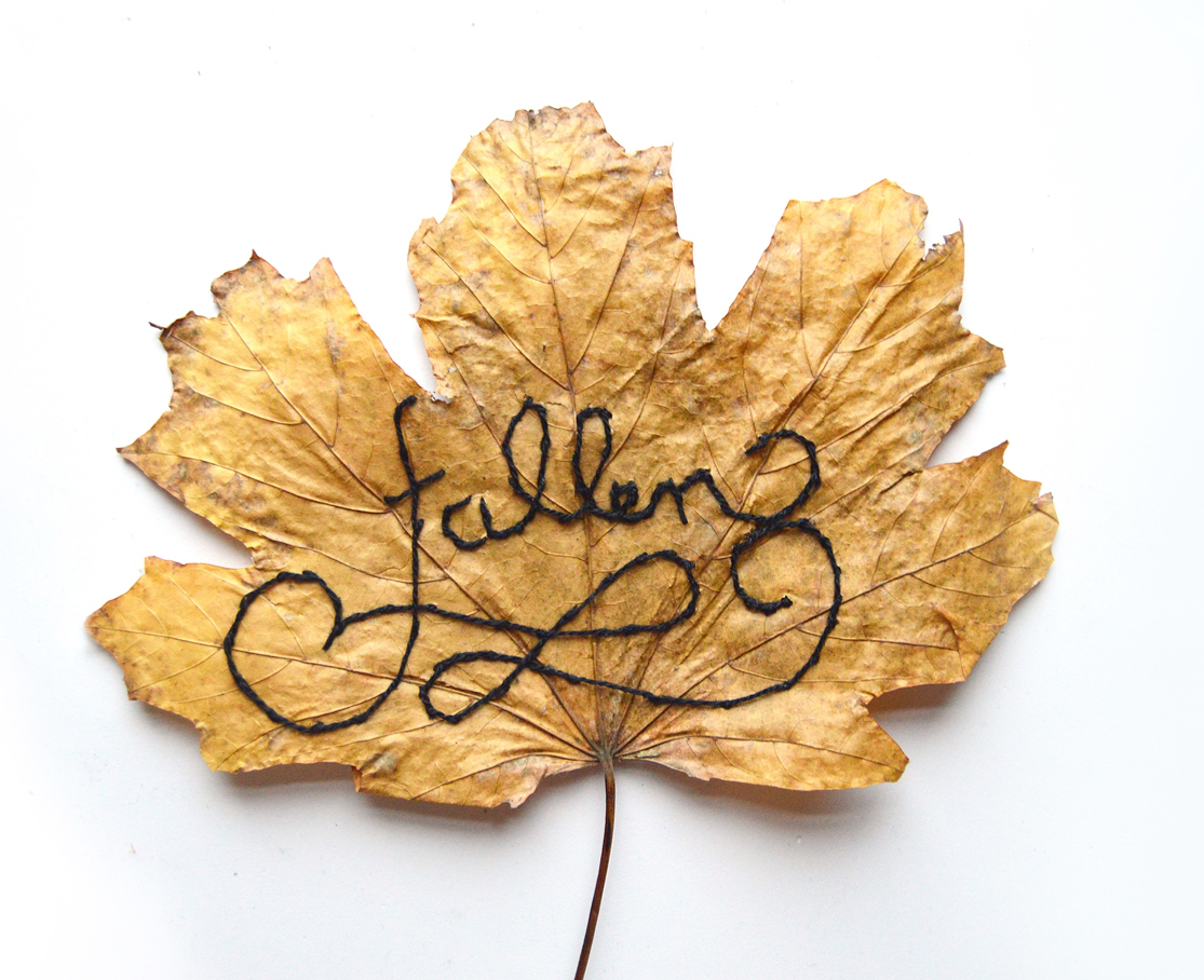 Embroidery embroidered typography embroidered leaves thread illustration