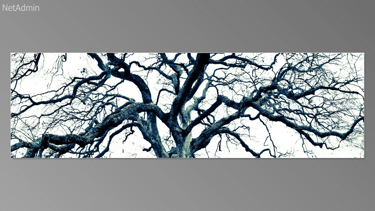 trees oaks sprites Spooks Imps