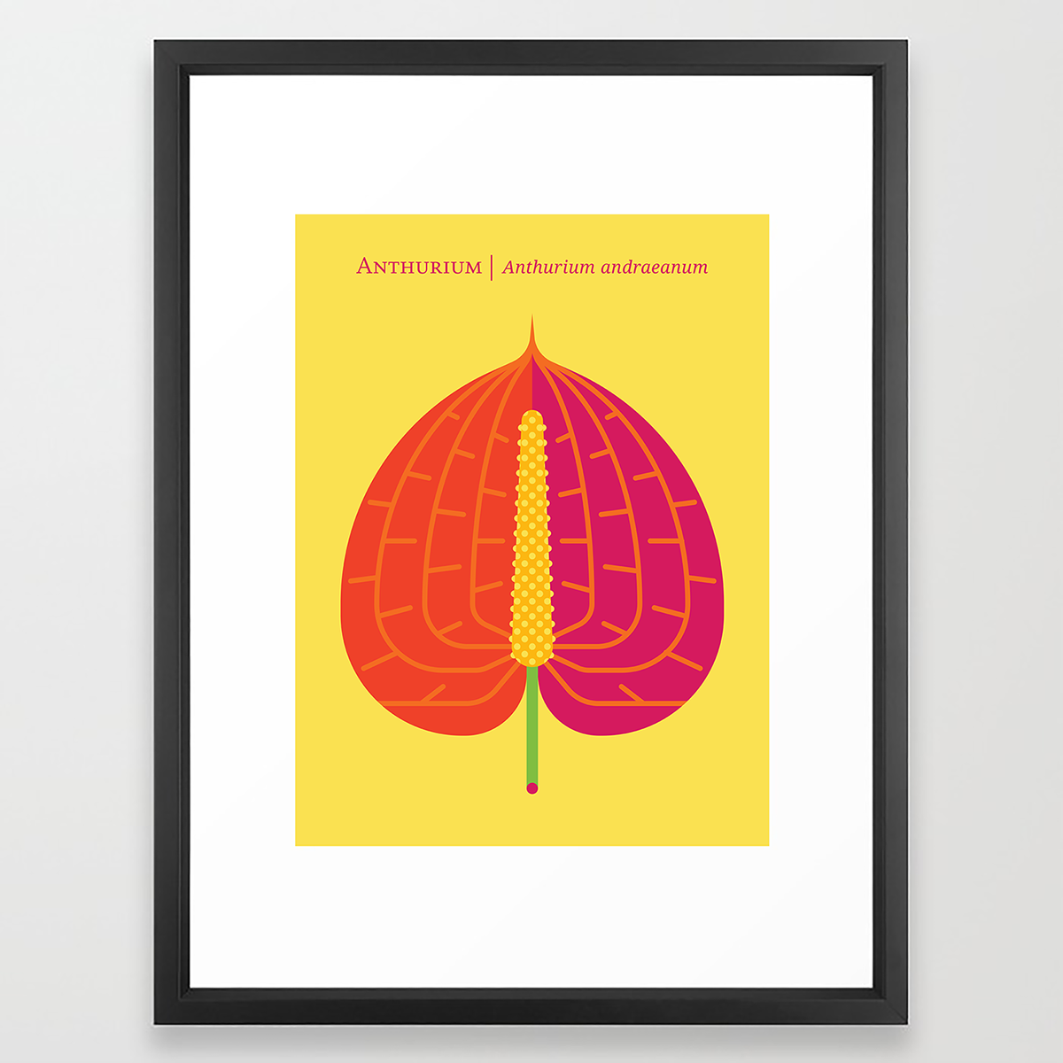 Anthurium Modern Art Print Poster Illustration and Design