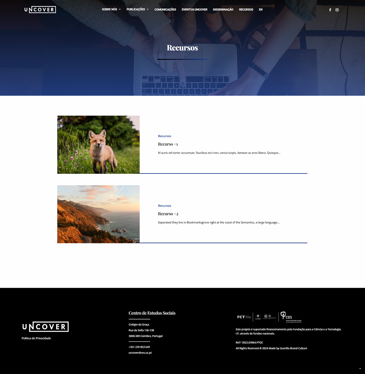 Webdesign Website wordpress