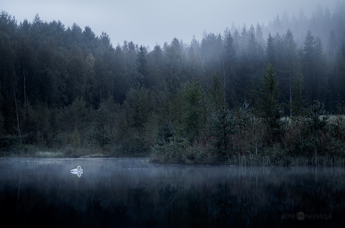 Nature finland mood atmospheric mist fog colorful bw fine art