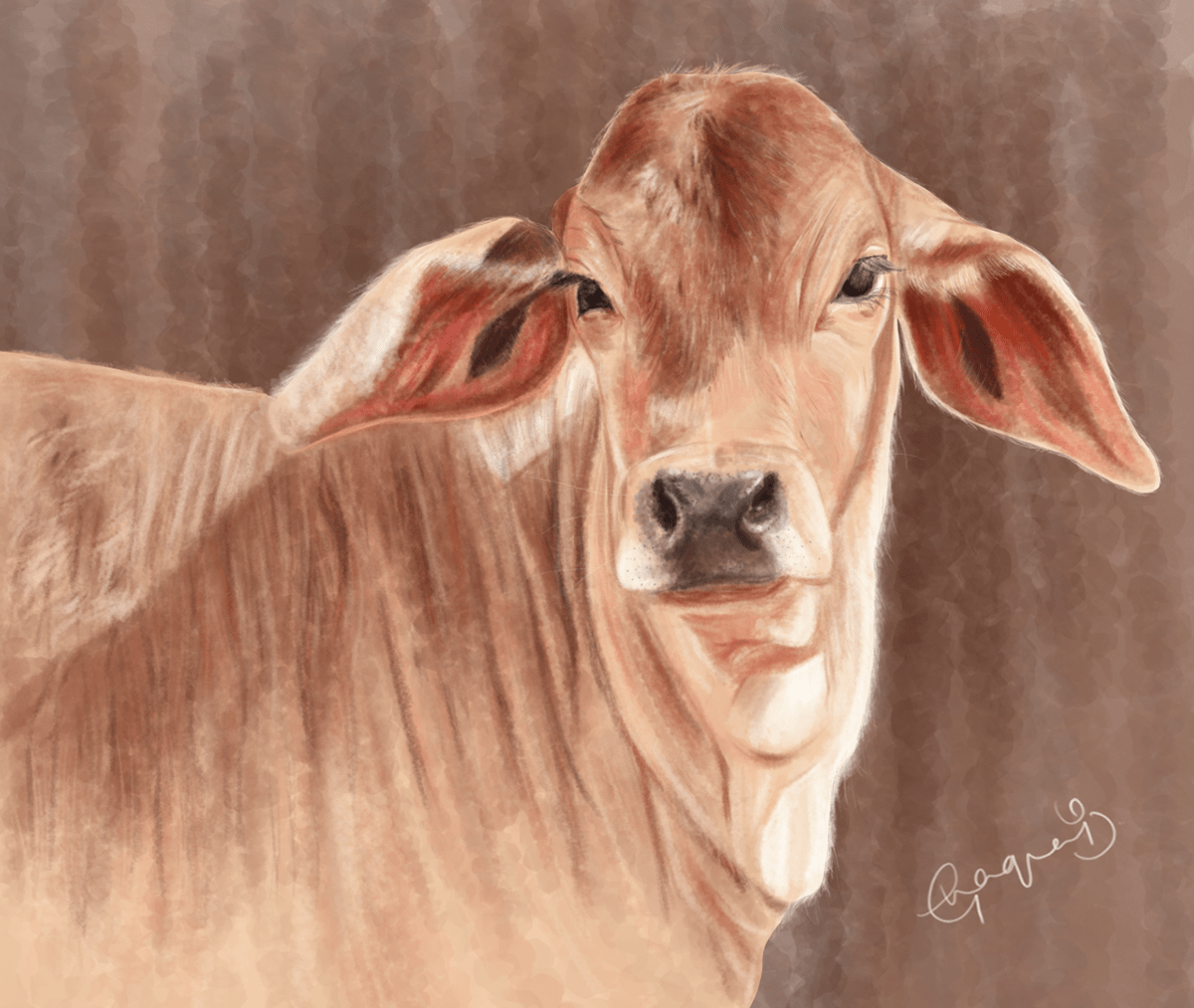 Digital Art  digital painting portrait Pet Portrait photoshop cow