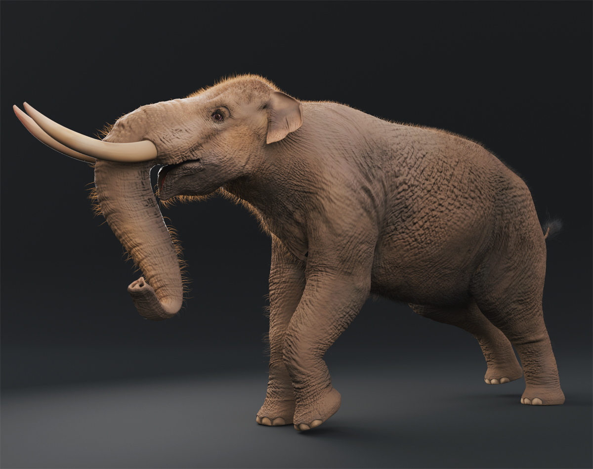 mastodon paleoart scientific illustration biology animals digital illustration concept art Character design  3d modeling prehistoric