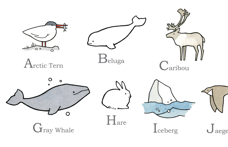 animal Arctic alphabet north