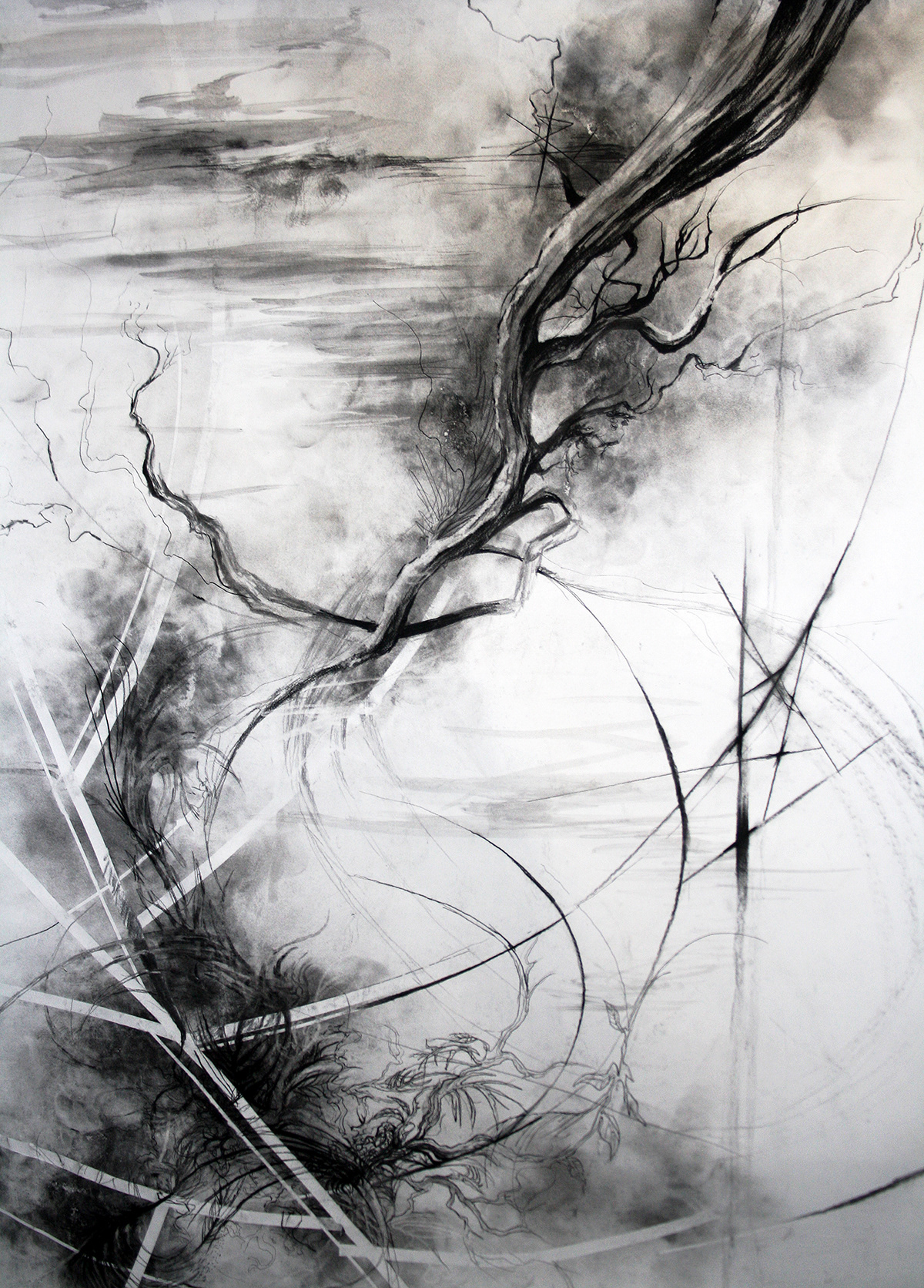 organic trees Nature charcoal pencil ink black and white