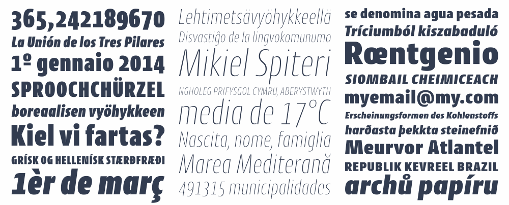 sans sans serif typedesign Typeface font font family Workhorse Opentype