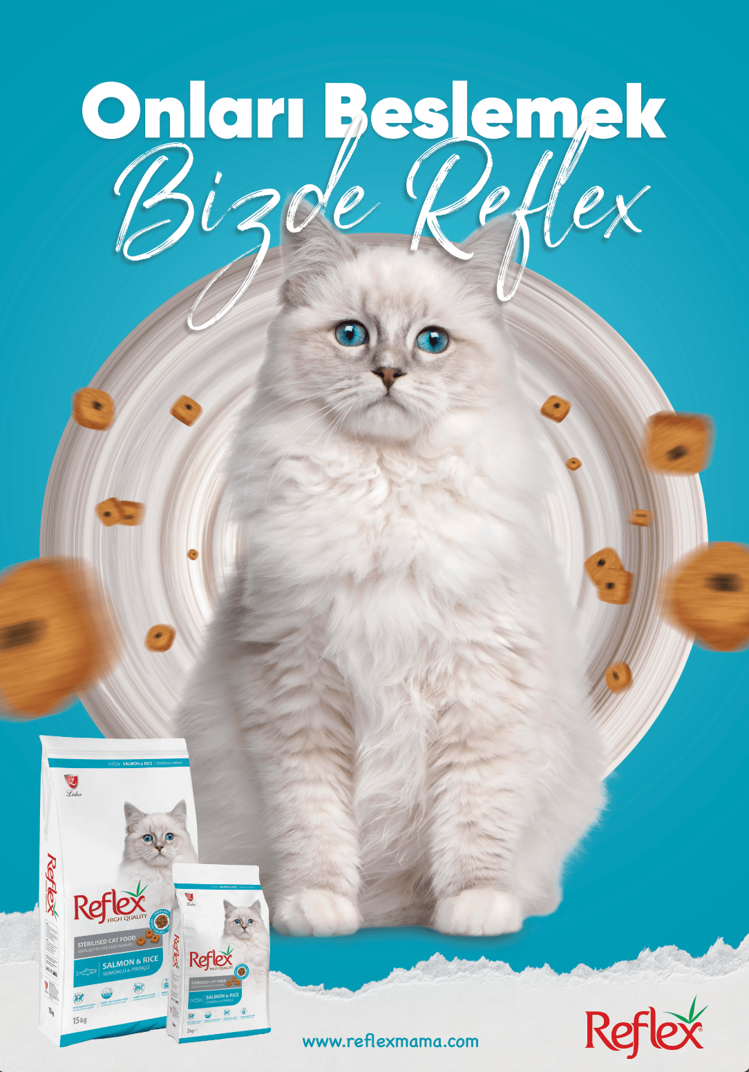 Advertising  animal Cat cute dog marketing   Pet Pet Food Packaging petfood poster