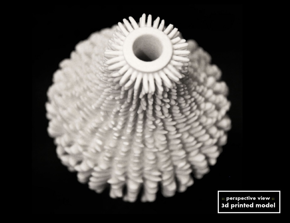Vase 3D 3d printing digital fabrication parametric Computation design art Grasshopper Rhino