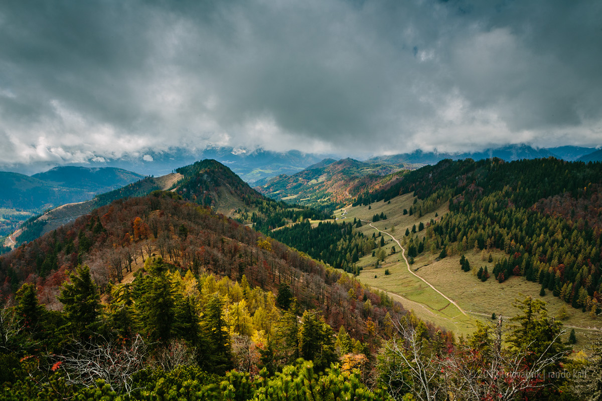 Nature austria kalkalpen Landscape autumn colours almkogel alps National Park