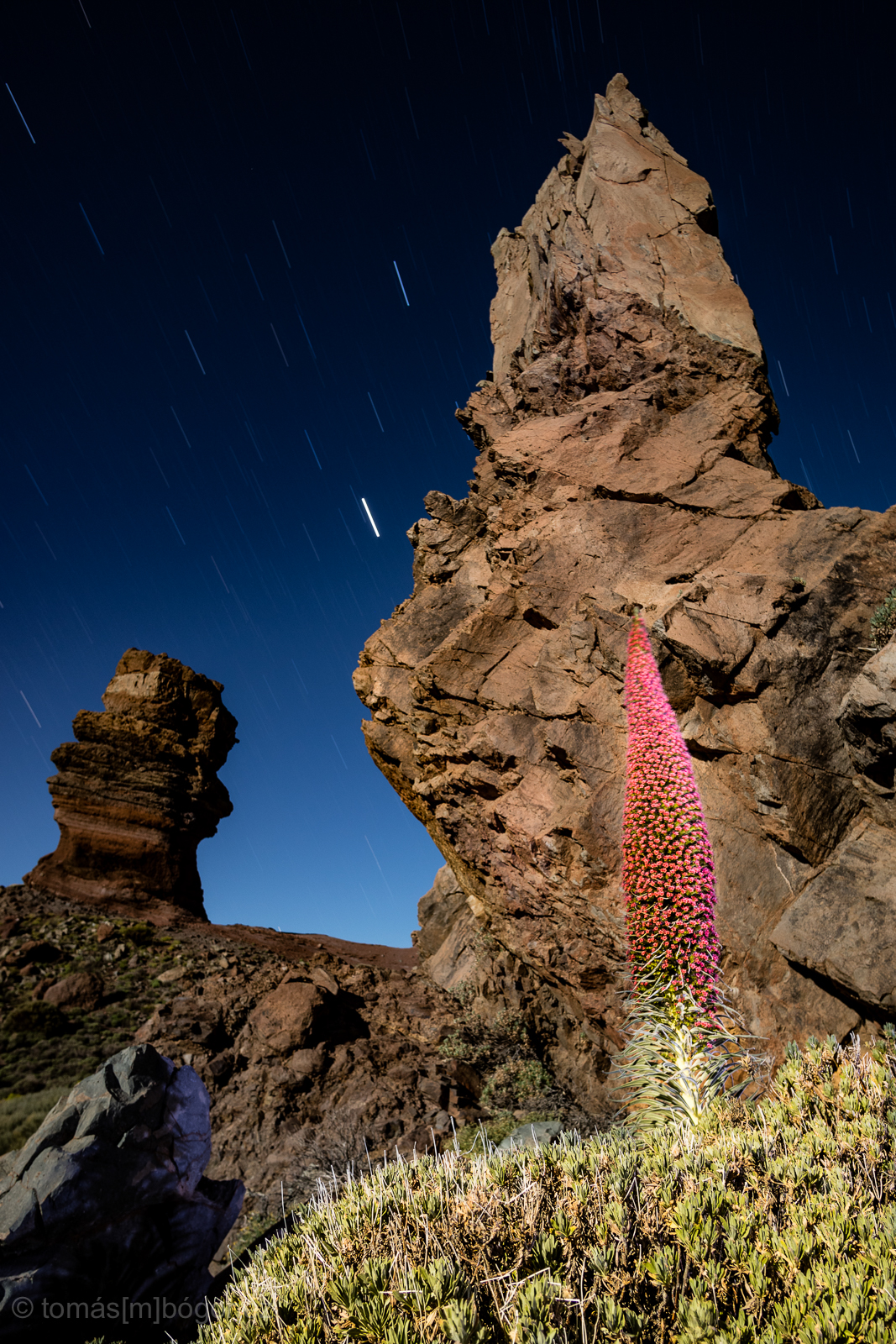 Adobe Portfolio Flowers night mountain National Park Tower Jewels Landscape moonlight red