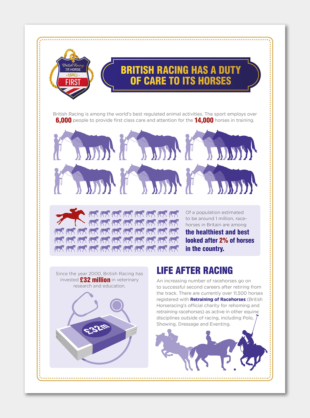 graphic design  ILLUSTRATION  infographic Horse racing horse leaflet flyer poster flier