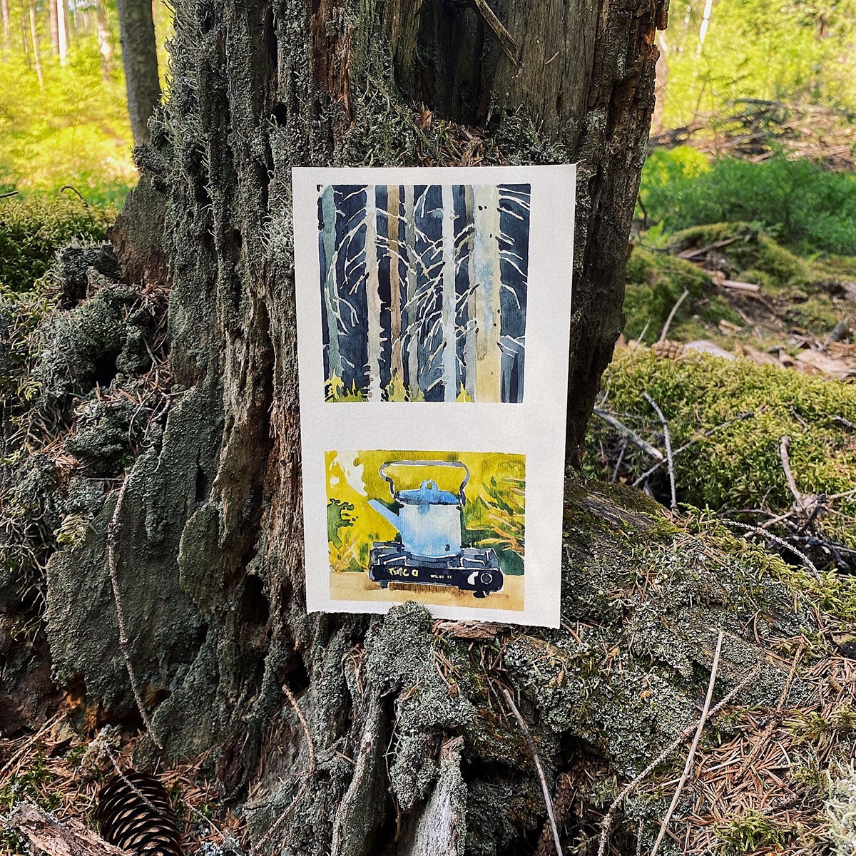 Outdoor plein air watercolor forrest Nature woods moss art cone