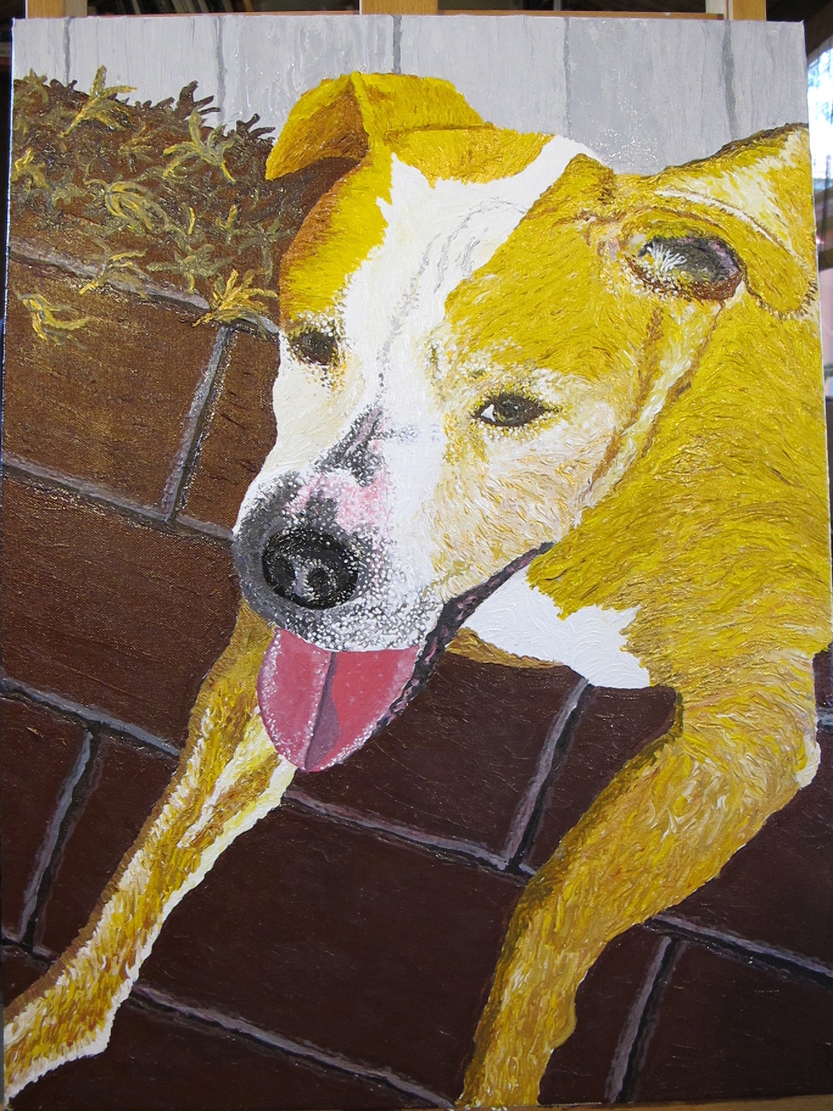 Pit Bull acrylic dog in sun