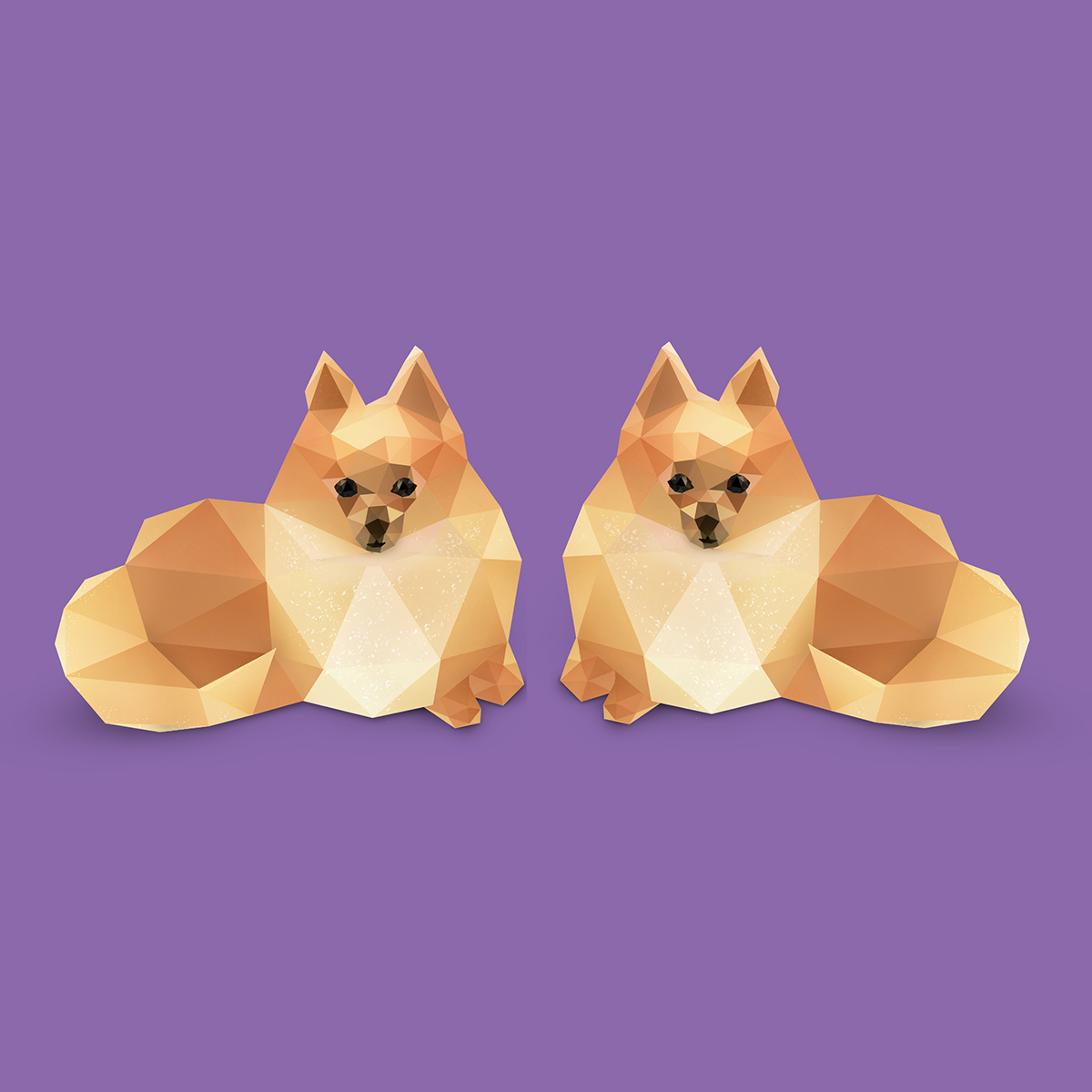 Low Poly low polygon photoshop vector Pomeranian dog dogs puppy pomeranians Low Poly Art vector art