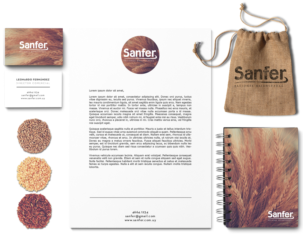 logo Logo Design sanfer Agro cow seeds Rice wheat brown blue countryside uruguay Nature country stationary