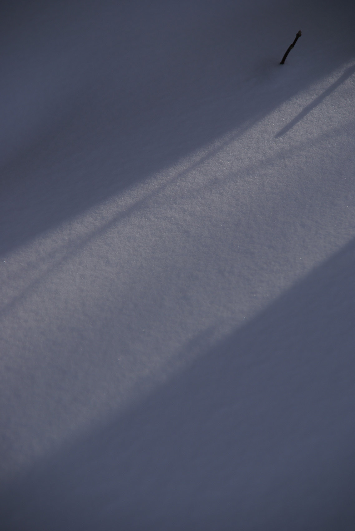 abstraction shadow snow winter