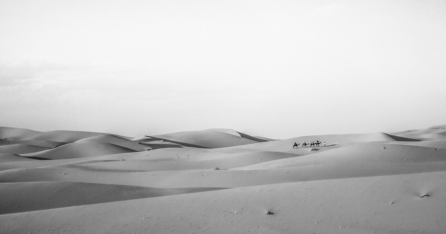 sahara desert Isolation dune sand bedouin Merzouga Erg Chebbi camel caravan freedom lonely