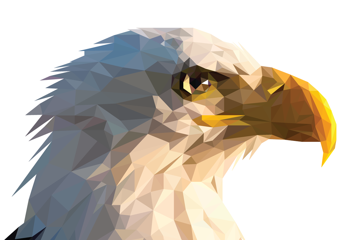 triangular triangle bald eagle eagle modern poster bird vector Low Poly polygon Competition Low polygon count challenge snowboard artwork