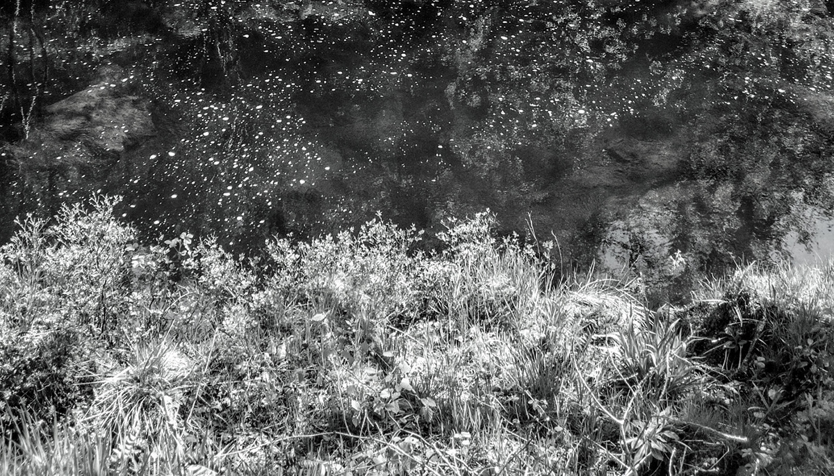 Riverside Nature Photography  monochrome abstraction light Cambrian mountains wales