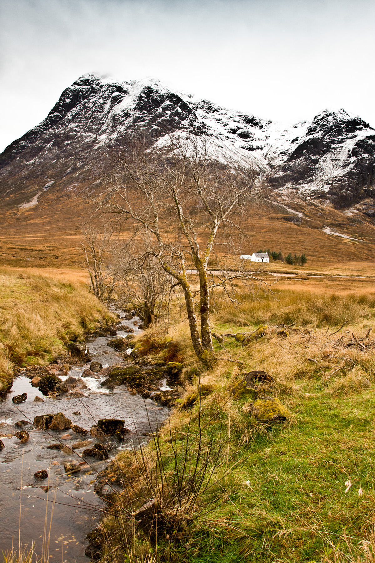 scotland edinburgh glasgow UK Highlands Nature Photography  pure Rugby wiskey