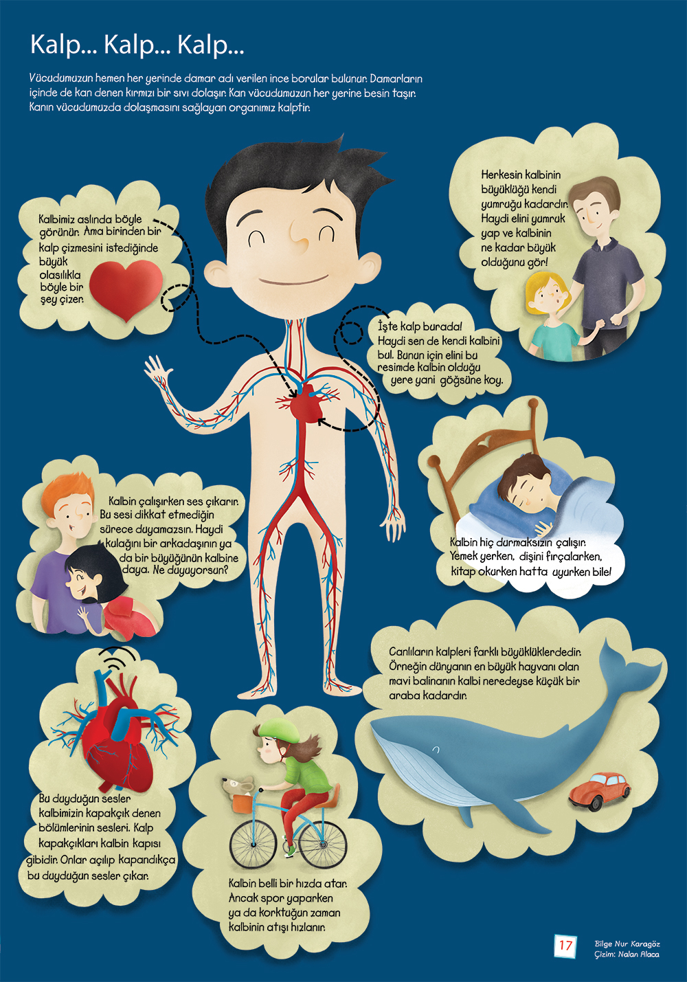 Meraklıminik tubitak heart kalp childrensmagazine çocukdergisi