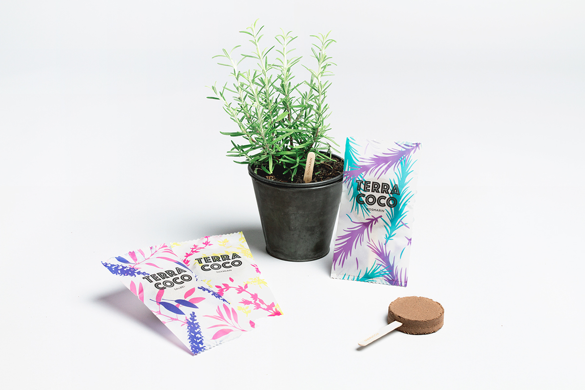 seed soil Plant colour icecream herbs flower Coconut mint pastel popsicle Lolly