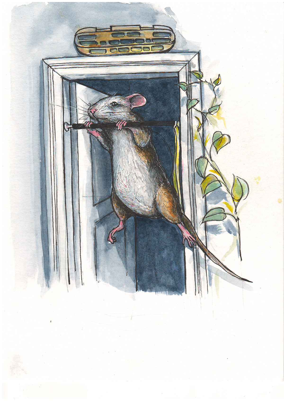 bookillustration ChildrenIllustration ILLUSTRATION  inkandwatercolor mice sketch sketchbook