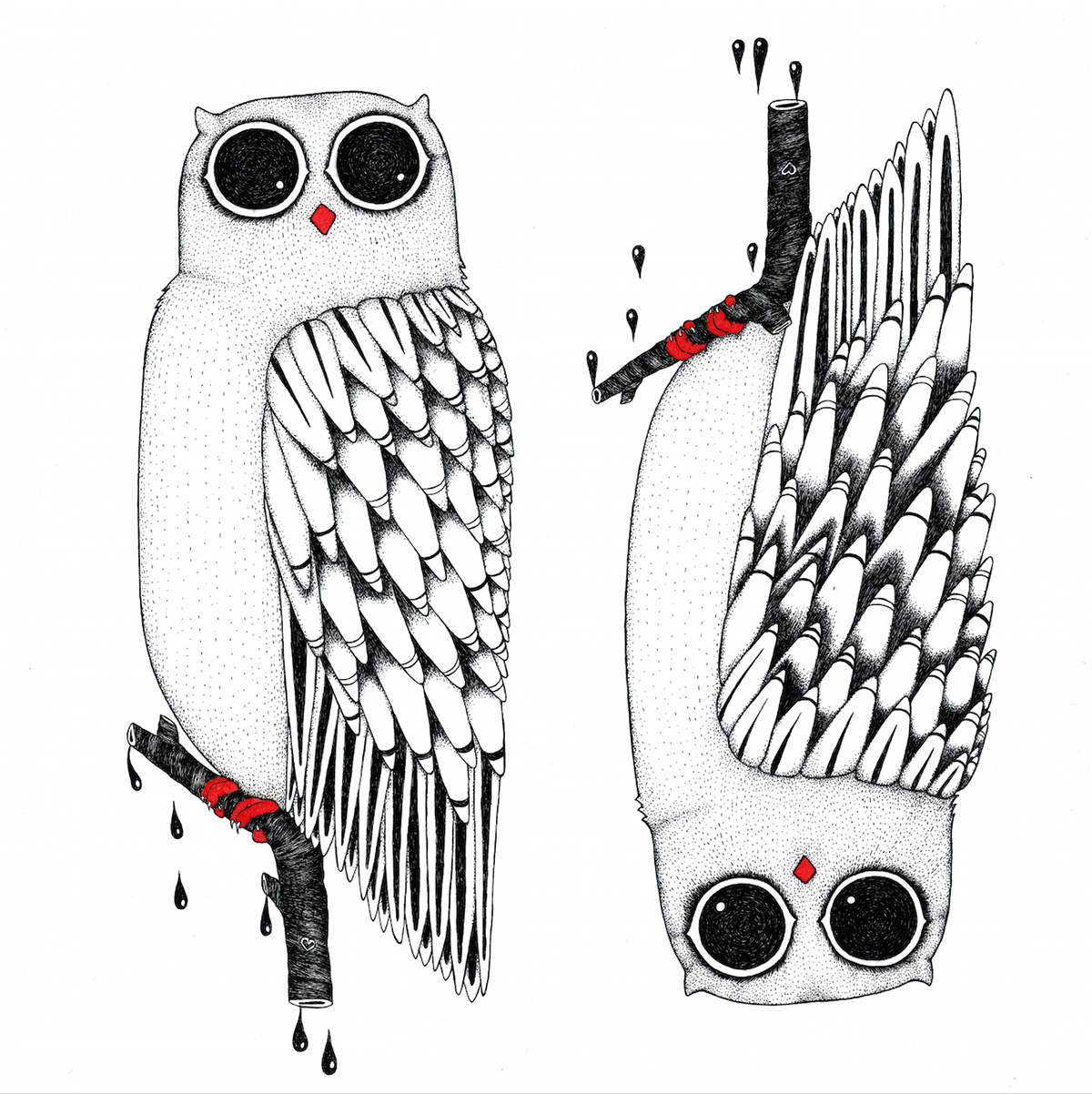 owl popsurrealism birds birddrawing pen ink Rotring