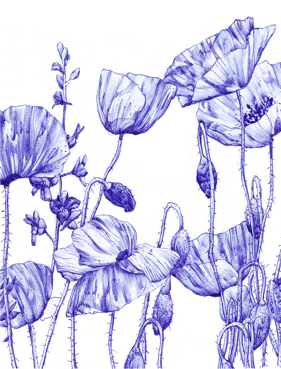 bic pen blue Nature Fisika soap lid box Flowers poppies daisies Irises ecologic package art