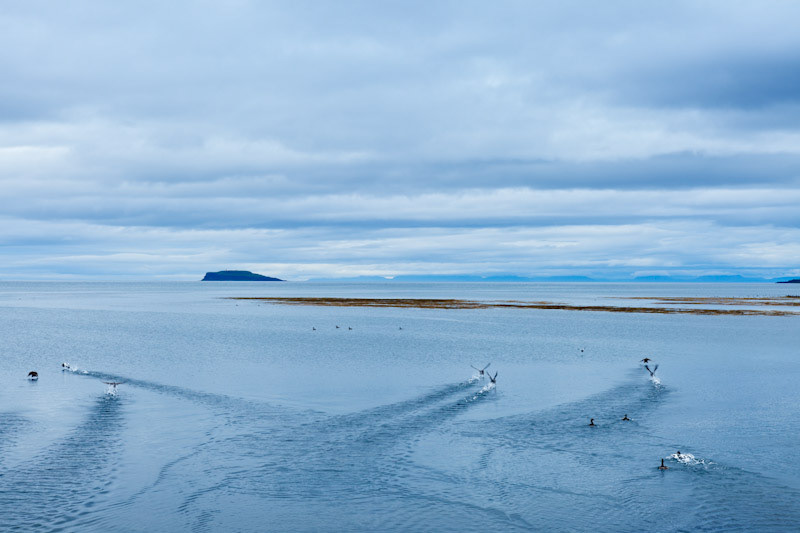 iceland Landscape colour photography
