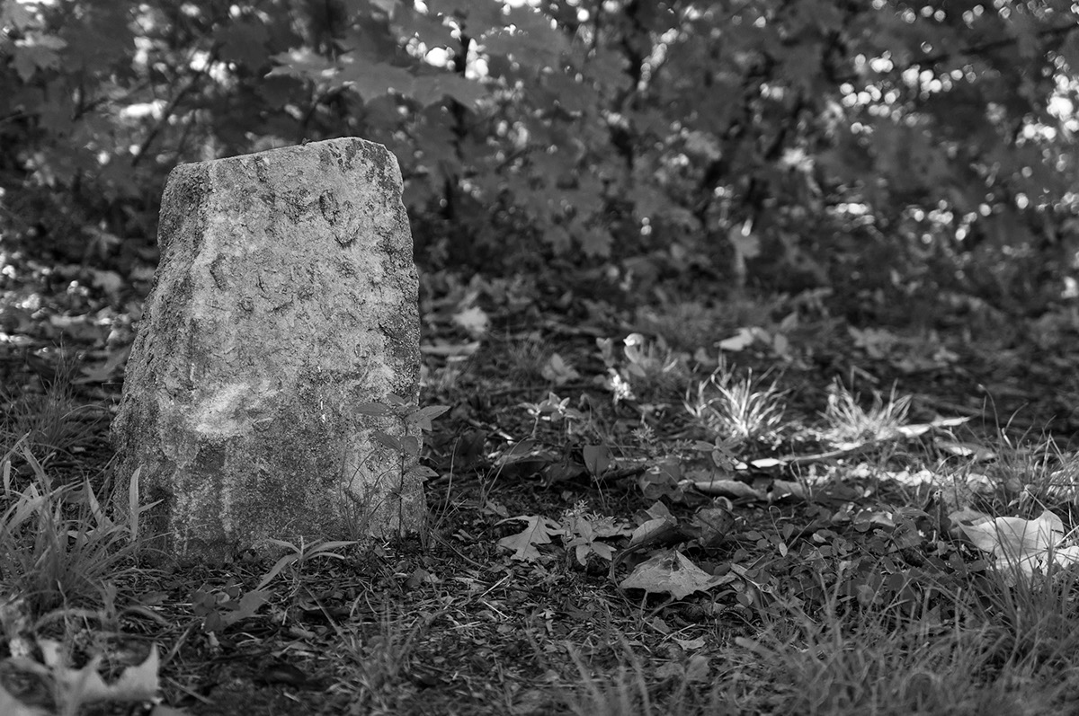 cemetery black and white book Memorial college death Sony NEX-5N Documentary 