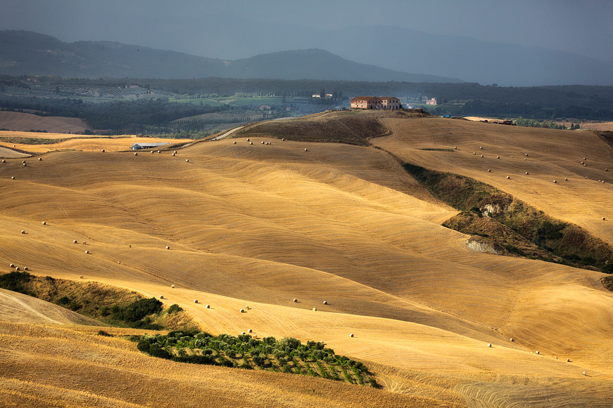 Tuscany harvest field Landscape yellow Italy Nature Florence village road