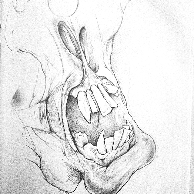 bird Slumpy sketch doodle photoshop pencil sketchbook book frog bear rabbit