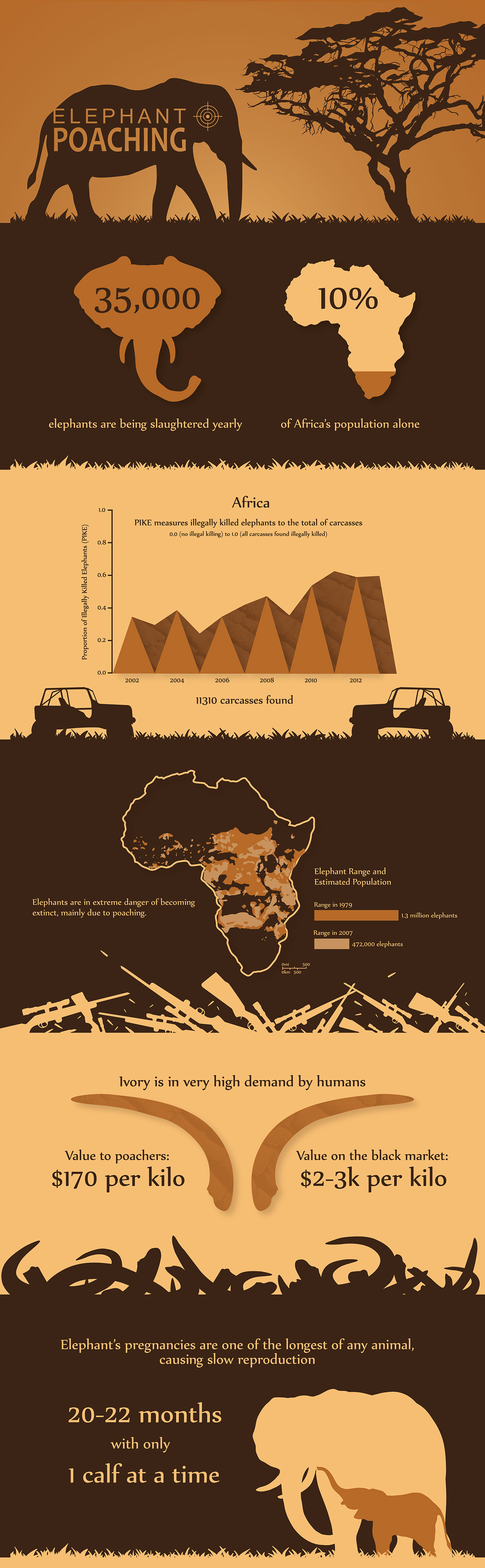 elephant poaching infographic africa adaa_2015 adaa_school ot adaa_country united_states adaa_social_impact_design social awareness social cause