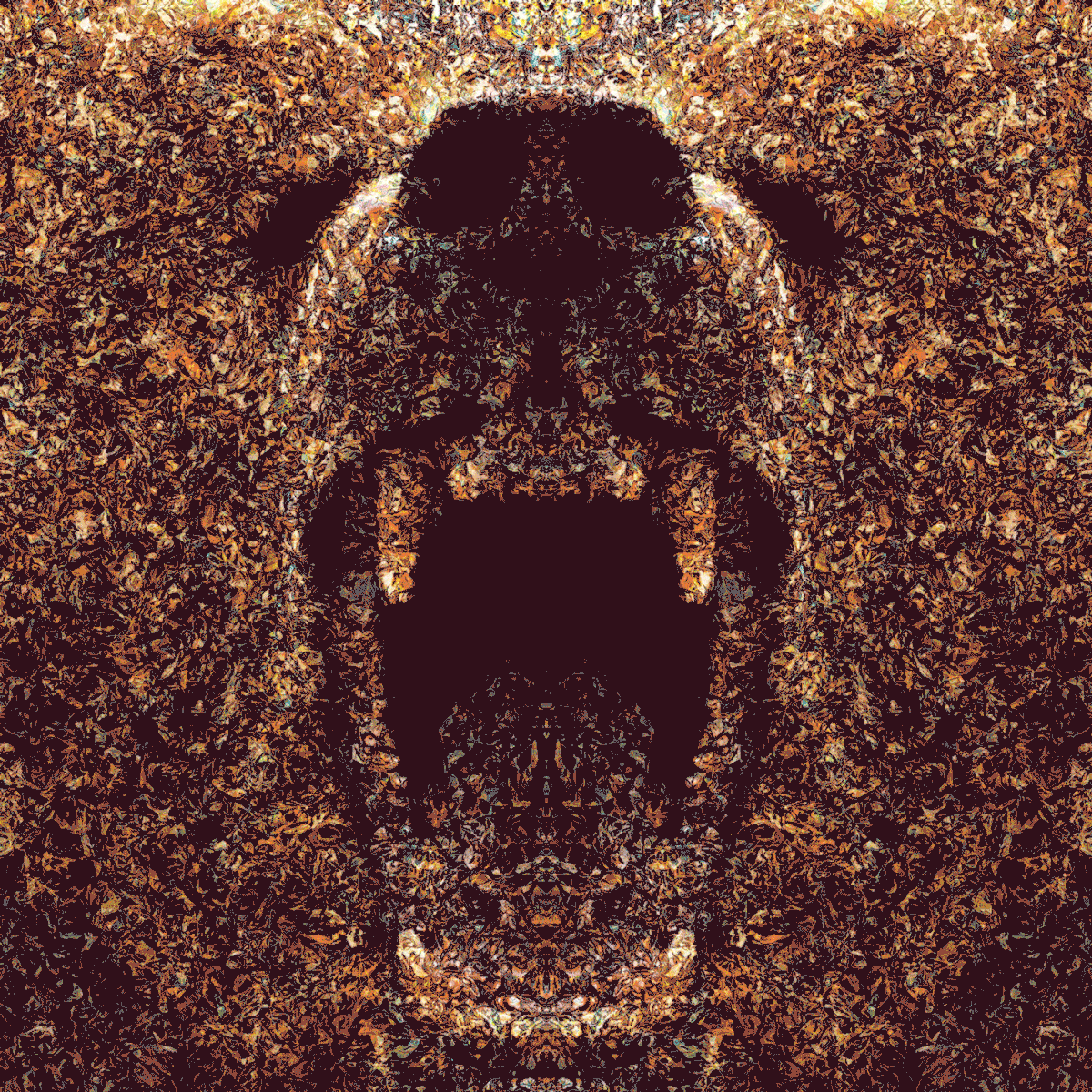 Pragyan Uprety animals animal art nifty graphics generative art generative graphic art abstract bear lion