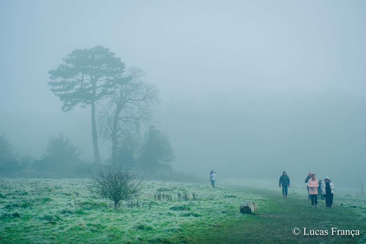 fog National Trust Park surrey UK winter