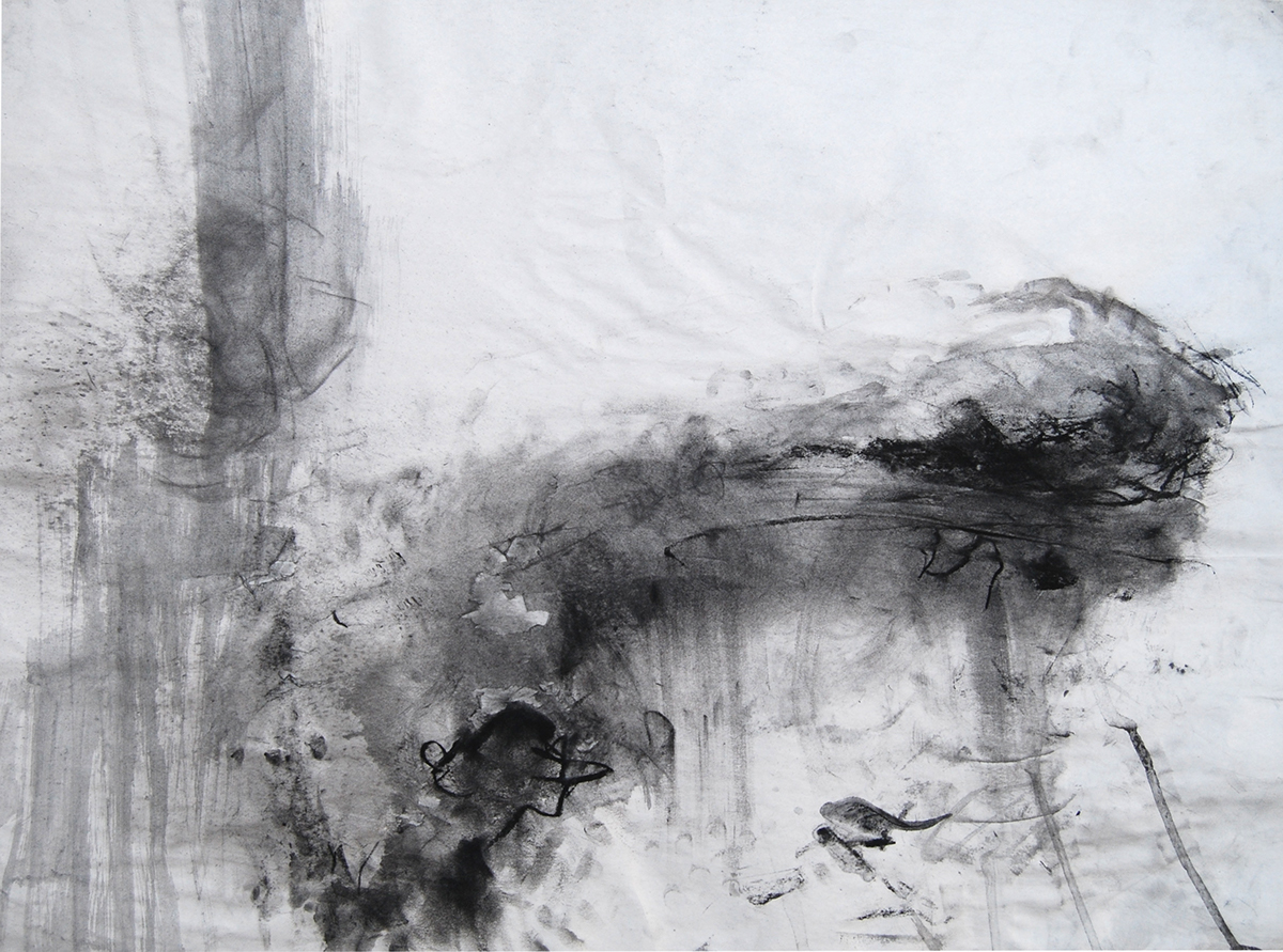 charcoal newsprint ink Foundation Year risd tone light and shadow madethis colossal