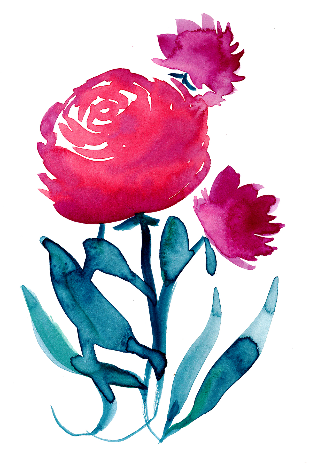 flower Lotus watercolor