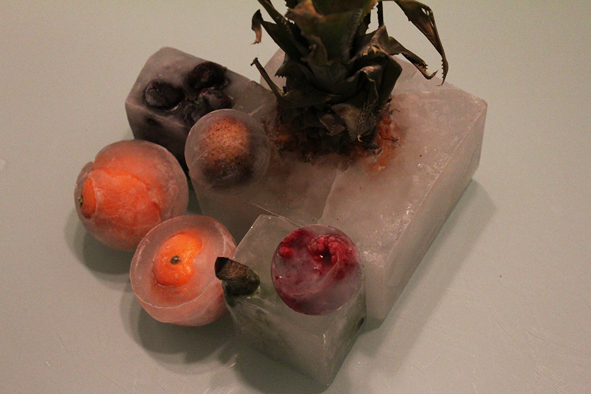 frozen Fruit Gelé Nature mort dead student Workshop ice glace