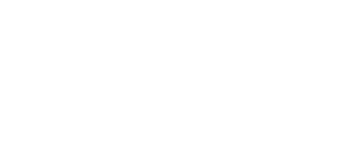 branding  typography   Photography  shield rose camera Cyrillic tri-lingual Logo Design