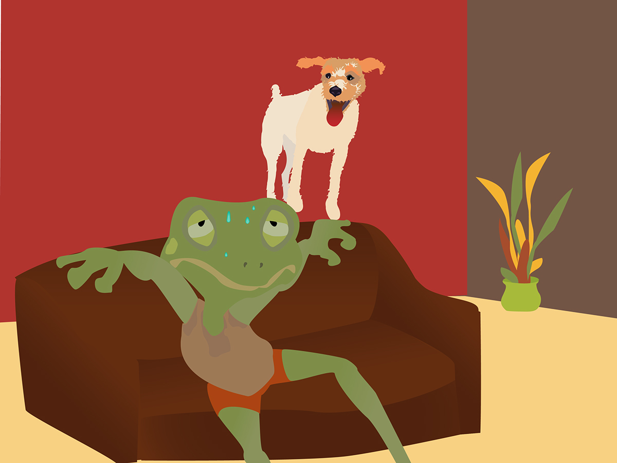 Final cut Pro cartoon dogs frogs children illustrations storytelling   summer beach heat Kealani Vanderleest