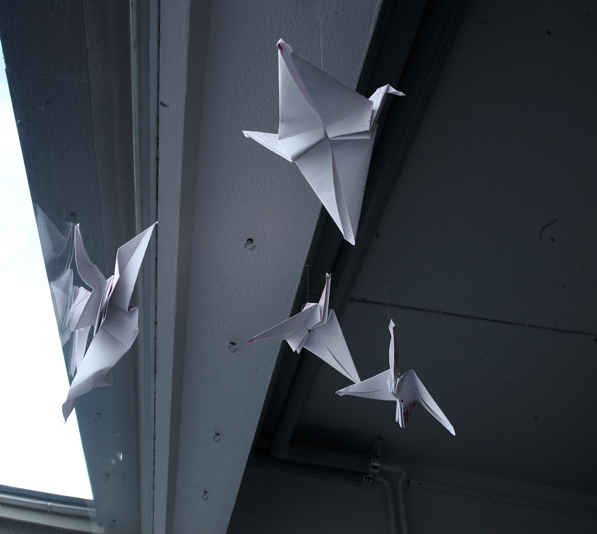 Adobe Portfolio Memory  childhood origami 