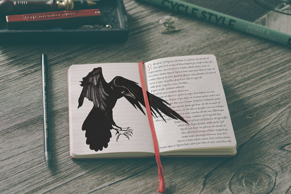 raven bird black ink sketch Fly