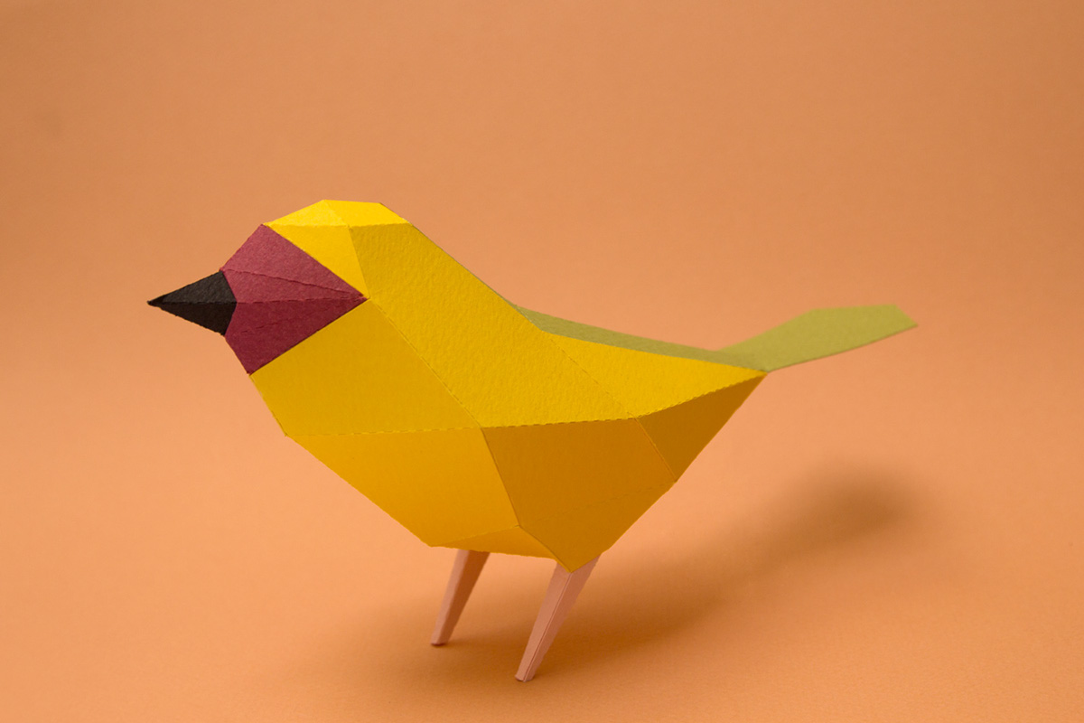 arabian birds Saudi Arabia arabia arabia saudita kaust king abdullahs university for Science and Technology flycatcher green bee-eater hoopoe ruppell's weaver kingfisher paper birds papercraft