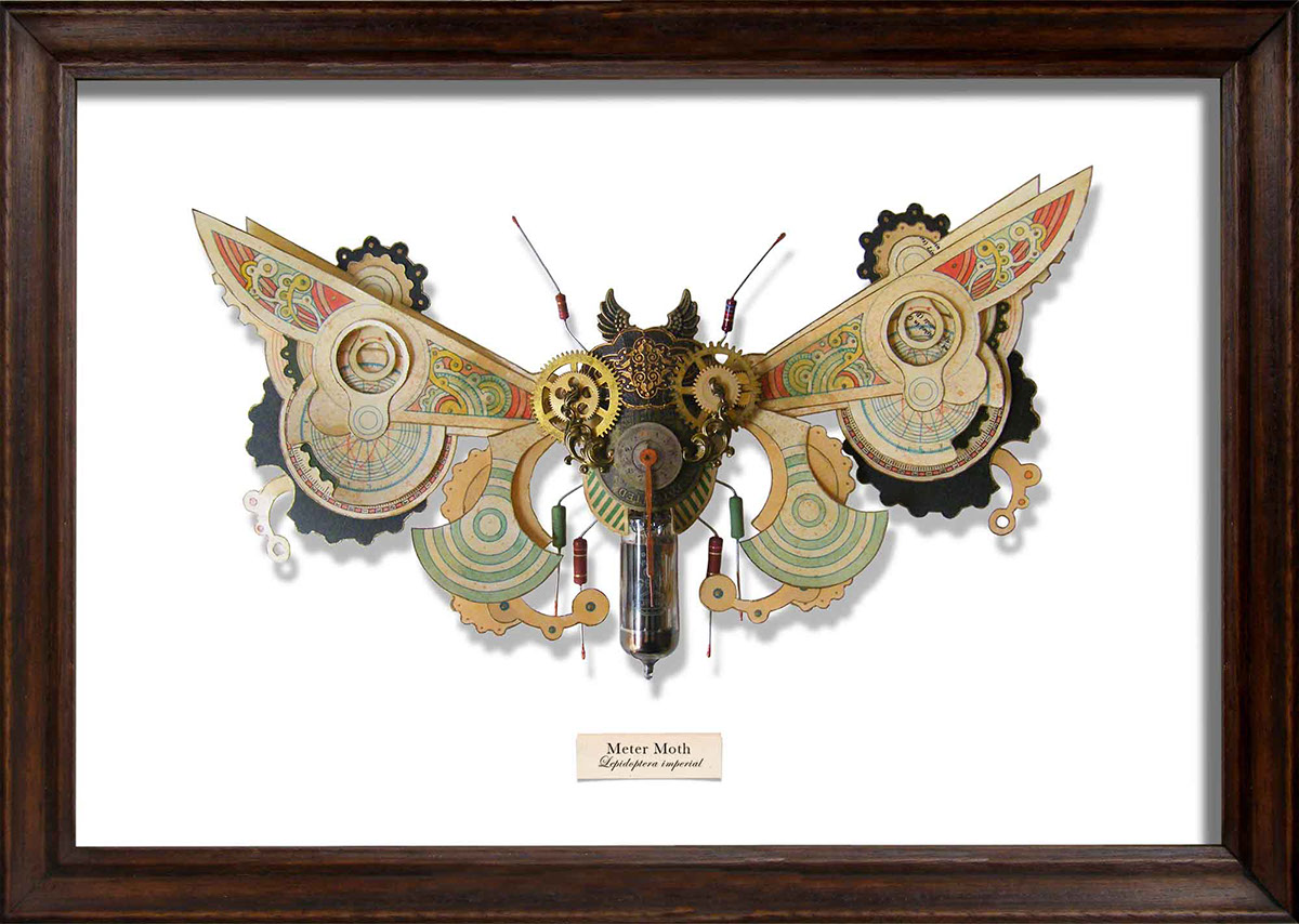 moth litter bug  Mark Oliver dials found art insect entomology STEAMPUNK Assemblage