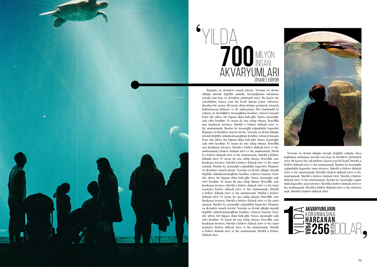 editorial design magazine typography   lifestyle alexachung Food  fastfood editorialdesing aquarium