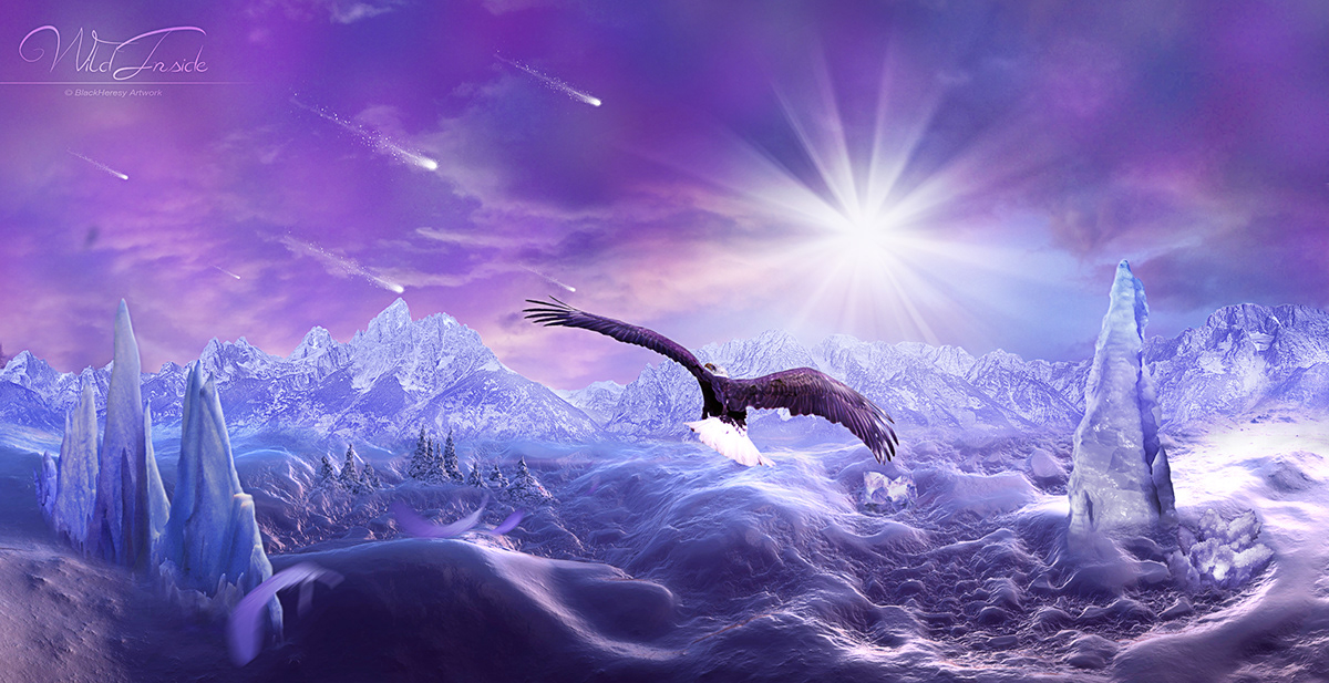 BlackHeresy Artwork  photomanipulation violet eagle fantasy world Landscape creation surreal