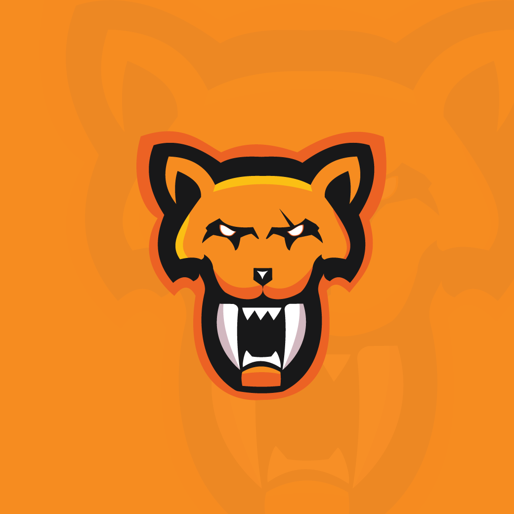 adobe animal brand identity branding  designer graphic design  identity logo logo designer mascot logo