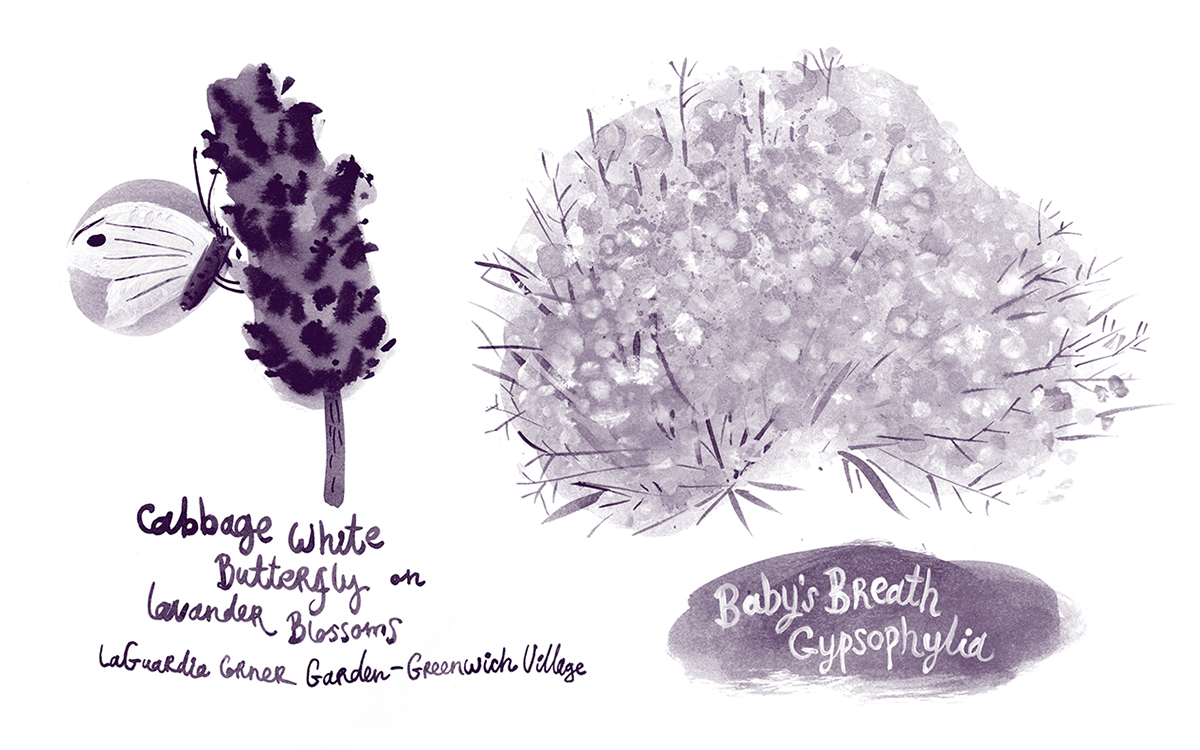 botanica Nature Flowers natalya balnova purple ink and paper HAND LETTERING
